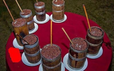 Arunachal Pradesh Guide | LetsGoAndTrip Travel Hub​