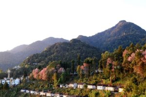 8 Amazing Places To Visit In Kohima