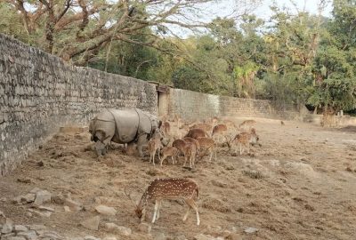 Assam State Zoo cum Botanical Garden