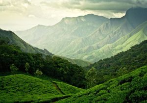 Best resorts in Wayanad