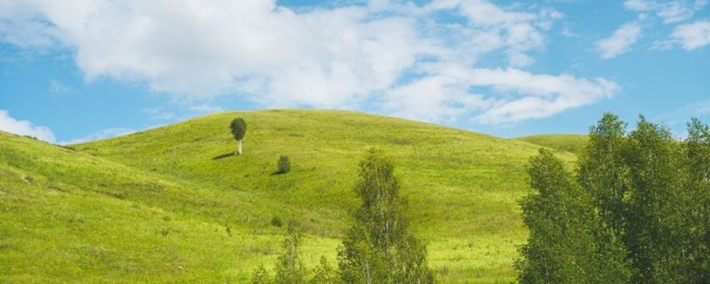 Bright summer landscape with hills