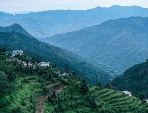 Good Vibes in Dhanaulti