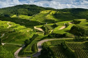 India is home to some of the most breathtaking mountains in the world. From snow-capped peaks in the Himalayas to serene hills in the Western Ghats, exploring the Top Mountains in India – Letsgoandtrip offers adventure, natural beauty, and unforgettable experiences for travelers.