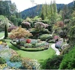 Plan Your Weekend at the Garden of Five Senses- A Mystical Place