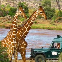 Arunachal Pradesh Guide | LetsGoAndTrip Travel Hub​