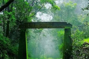 Cool Places to Visit in Kerala - letsgoandtrip​