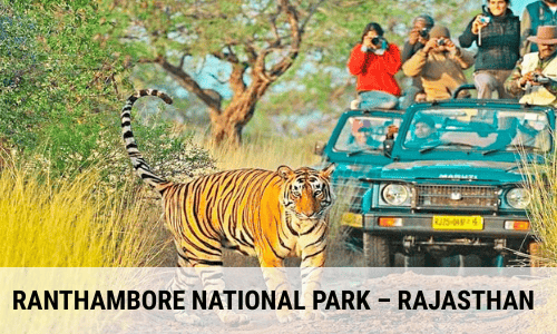 Travel Guides, Best Destinations & Trip Plan​